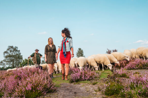 Wandelnetwerk gemeente Brummen