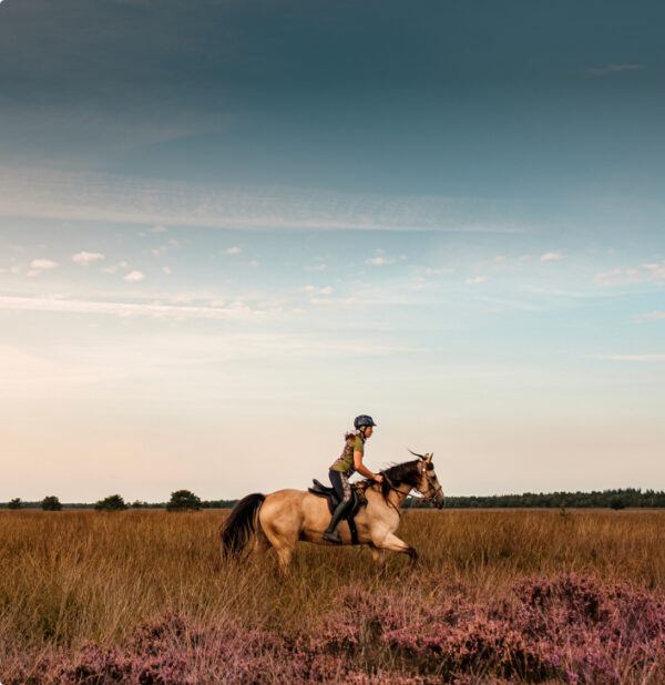 Ruiter- en mennetwerk Midden Veluwe