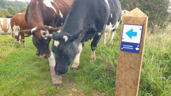 Over Het Routebureau Veluwe